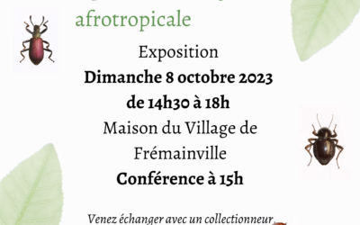 Exposition coléoptères | Frémainville