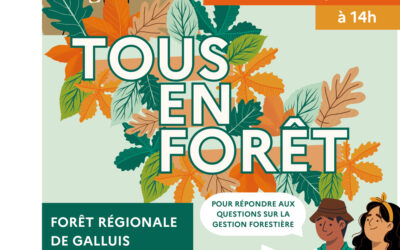 “Tous en forêt” de Galluis