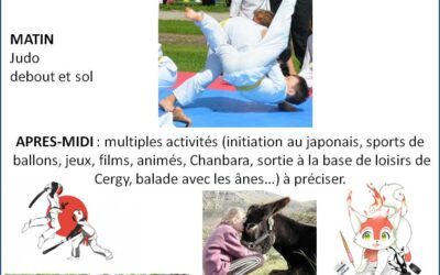 Stage de JUDO et MULTI-ACTIVITÉS à la salle des fêtes de Vigny