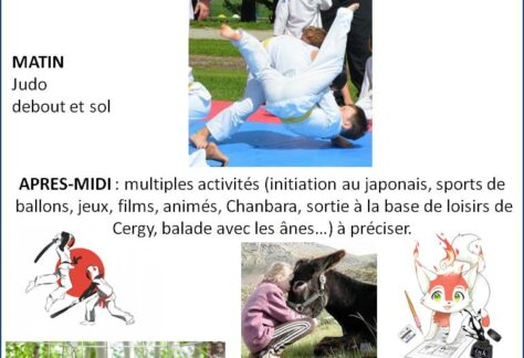 STAGE JUDO VIGNY avril 2025 Affiche