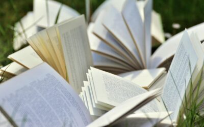 Animation Bibliothèque : l’Arpentage !