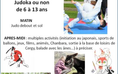 Stage de JUDO et MULTI-ACTIVITÉS à la salle des fêtes de Vigny