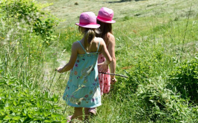 Accueils de loisirs pour les vacances d’été 2025