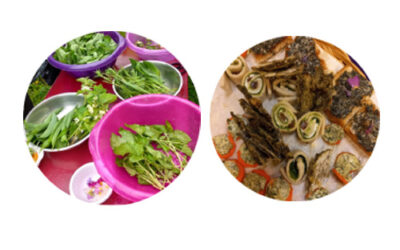 Cuisiner les plantes sauvages