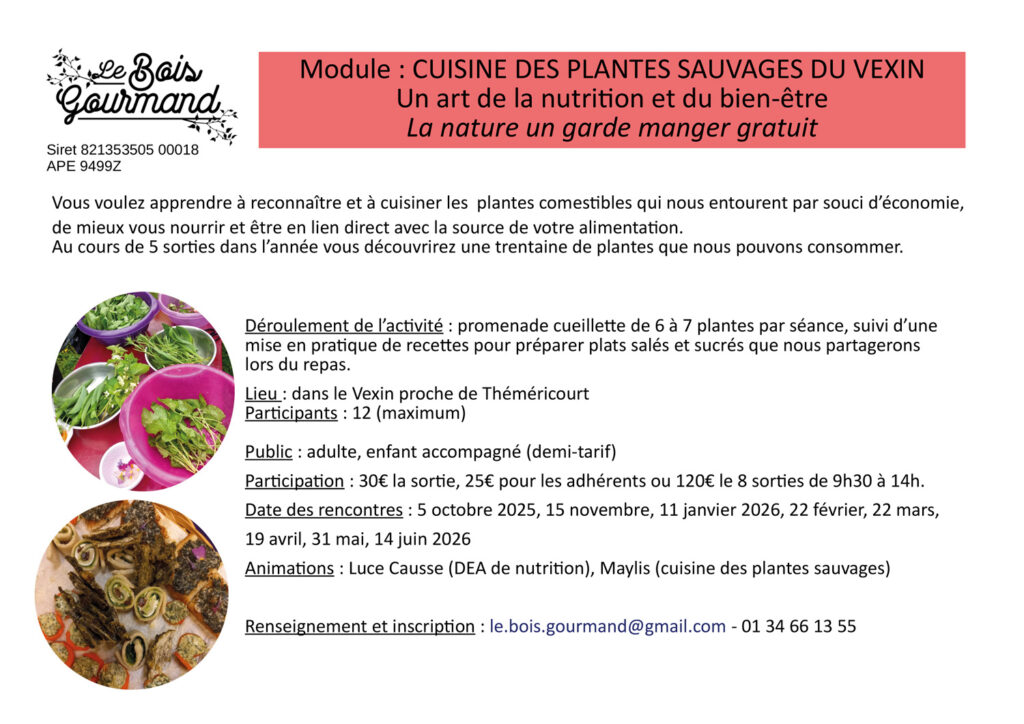 Cuisiner les plantes sauvages Vexin Centre