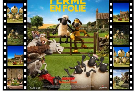 Shaun Le Mouton novembre Marines
