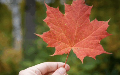 Club nature, réservé aux Ass.Mat et garde à domicile