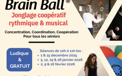 Activité BRAIN BALL®