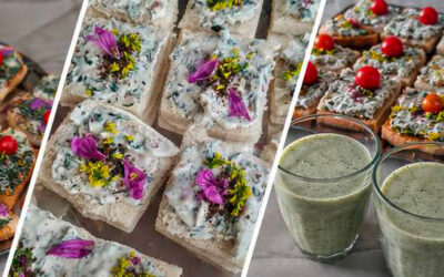 Cuisine des plantes sauvages du Vexin